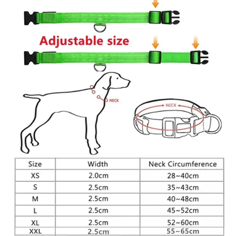 StarLite™ Pet Collar