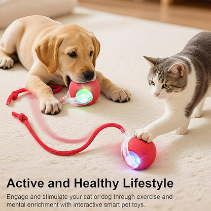 Zoorava SmartRoller™