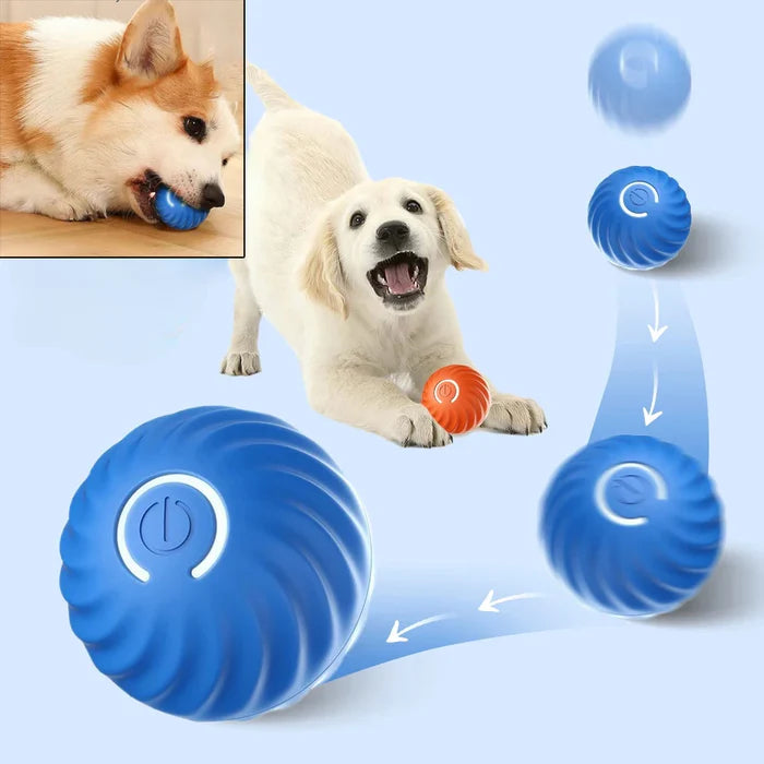 MotionPaw Ball™