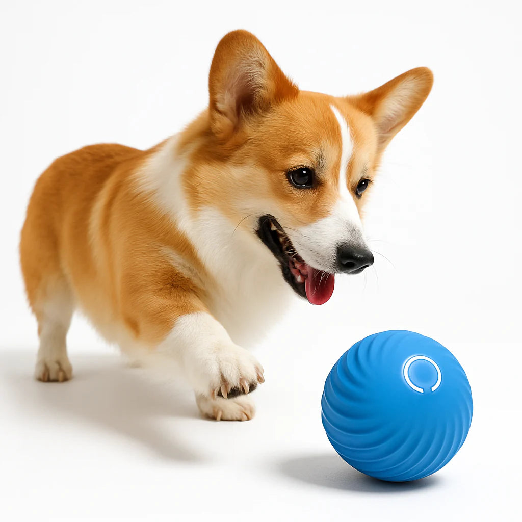 MotionPaw Ball™