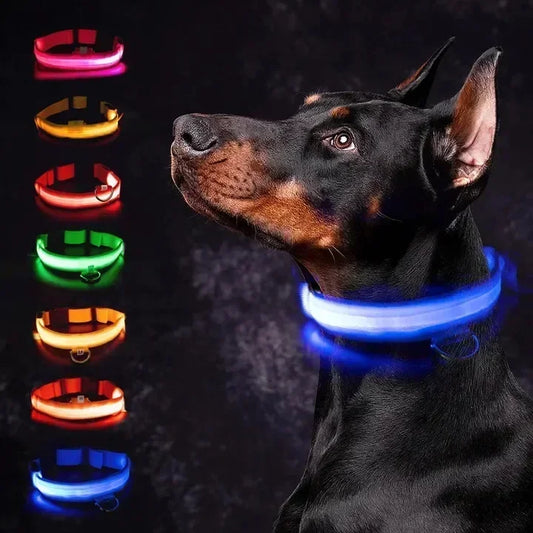 StarLite™ Pet Collar
