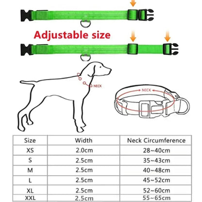 StarLite™ Pet Collar