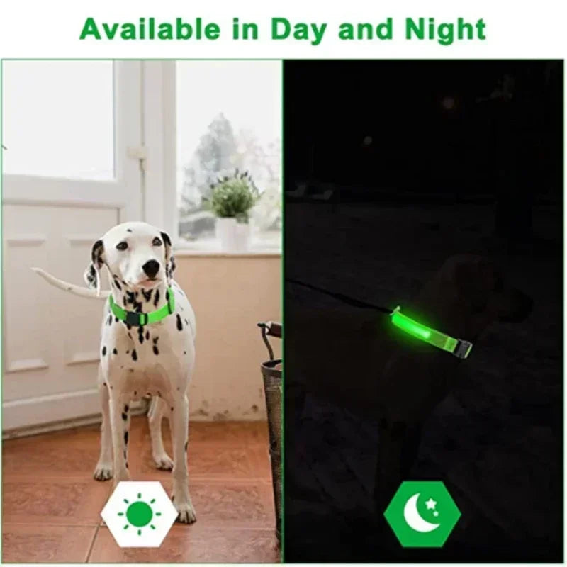 StarLite™ Pet Collar