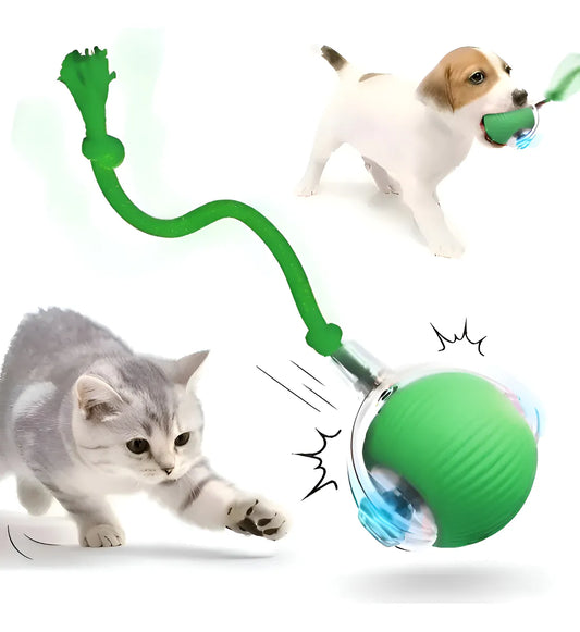 Zoorava SmartRoller™